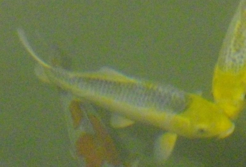 Bild